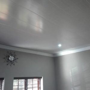 PVC Ceilings